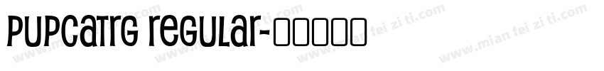 PupcatRg Regular字体转换
